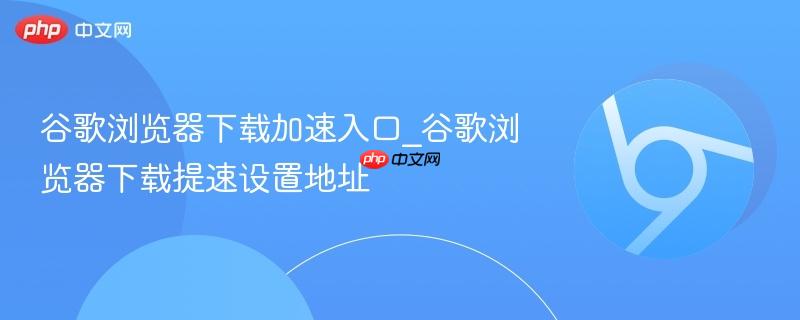谷歌浏览器下载加速入口_谷歌浏览器下载提速设置地址  第1张
