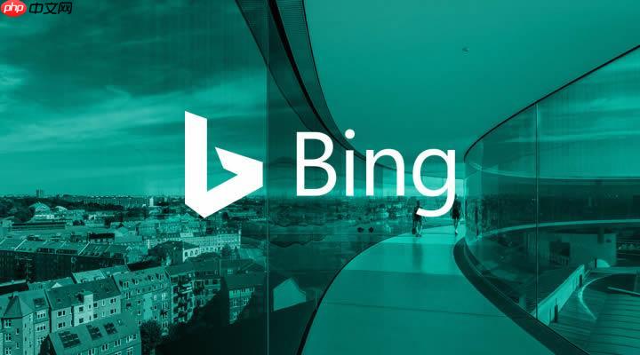 BING搜索引擎如何搜索代码案例_BING代码搜索语法与筛选技巧【攻略】