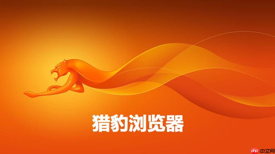 猎豹浏览器下载速度慢怎么解决 猎豹浏览器提升下载速度方法【亲测有效】  第1张