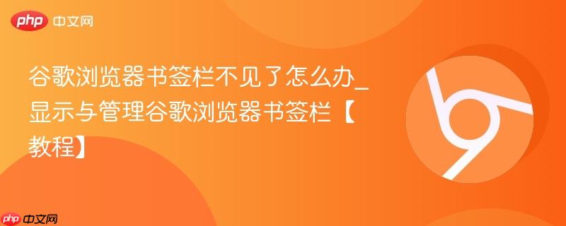 谷歌浏览器书签栏不见了怎么办_显示与管理谷歌浏览器书签栏【教程】  第1张