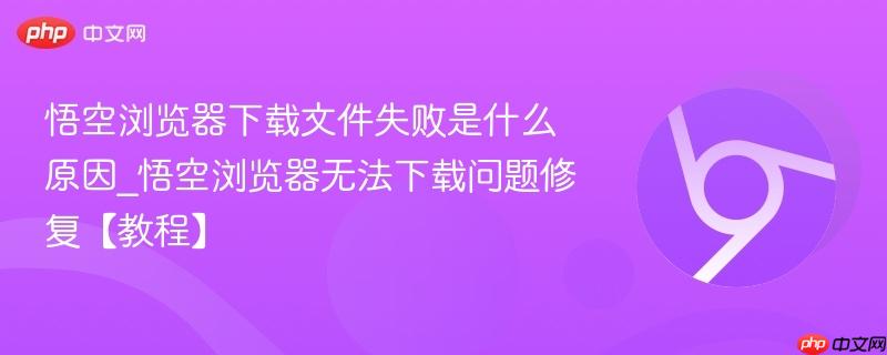 悟空浏览器下载文件失败是什么原因_悟空浏览器无法下载问题修复【教程】  第1张