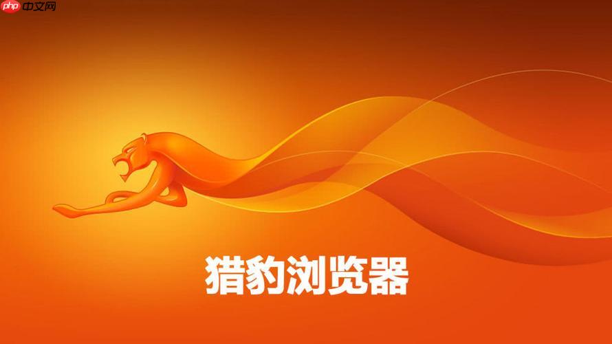 猎豹浏览器收藏夹怎么导入导出 猎豹浏览器书签管理教程【备份技巧】