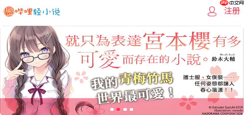 哔哩轻小说奇幻入口 龙傲天系统流小说大全  第1张