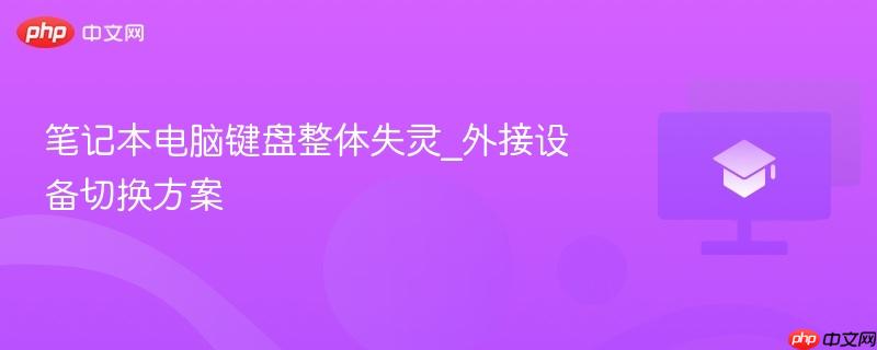 笔记本电脑键盘整体失灵_外接设备切换方案  第1张
