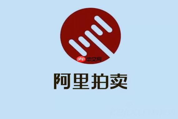 阿里拍卖平台官网怎么查看拍品评估报告_阿里拍卖平台官网报告查阅与要点解读【技巧】
