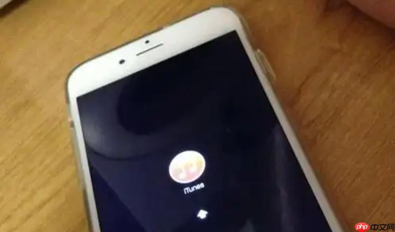 系统更新后手机充不进电了 | 别慌，这通常是软件Bug，降级或修复方法在此