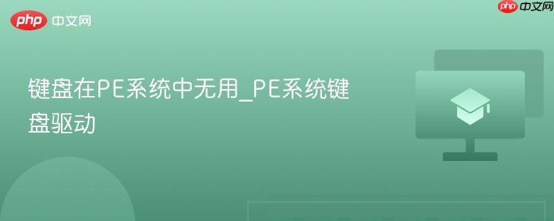 键盘在PE系统中无用_PE系统键盘驱动
