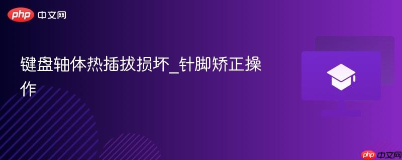 键盘轴体热插拔损坏_针脚矫正操作 第1张 键盘轴体热插拔损坏_针脚矫正操作 第1张