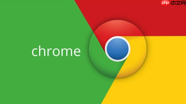 Google浏览器官网入口网页版 Google浏览器官方网站进入  第1张