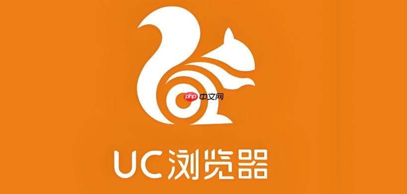 uc浏览器电脑版网页版入口 uc浏览器PC版在线使用一键打开首页
