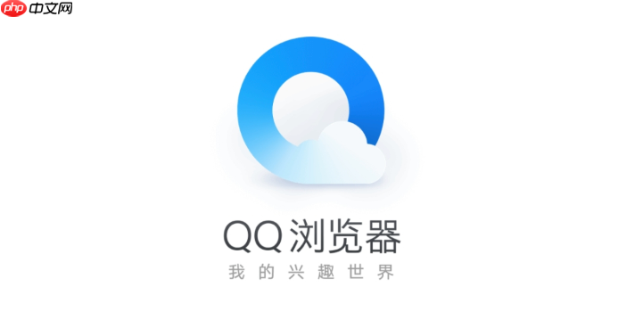 qq浏览器打开PDF文件显示空白怎么办 qq浏览器内置PDF阅读器修复方法  第1张