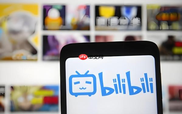 bilibili官网网址备用入口_bilibili多线路镜像站点