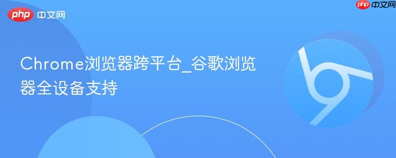 Chrome浏览器跨平台_谷歌浏览器全设备支持  第1张
