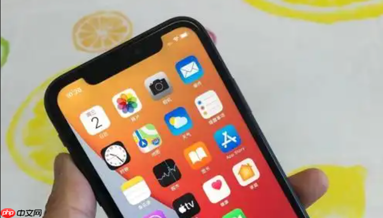 手机黑屏但有声音怎么办 解决手机黑屏有响应的方法  第1张