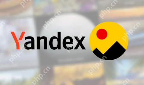 俄罗斯本土浏览器官方入口 俄罗斯本地搜索引擎官网地址