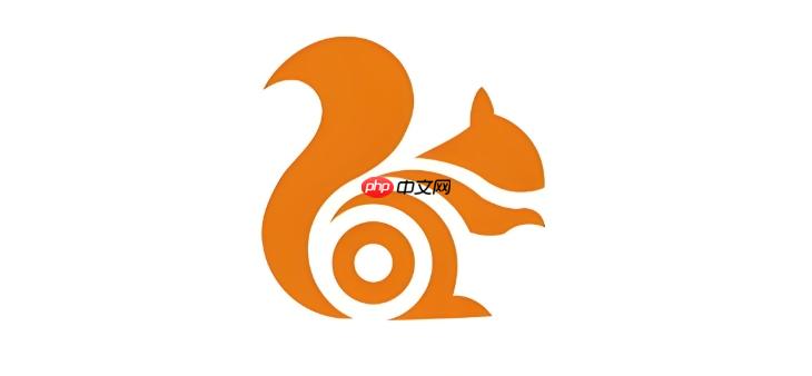 UC浏览器搜索栏无反应怎么办 UC浏览器搜索输入栏修复方案