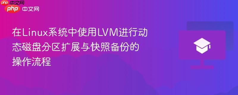 在Linux系统中使用LVM进行动态磁盘分区扩展与快照备份的操作流程