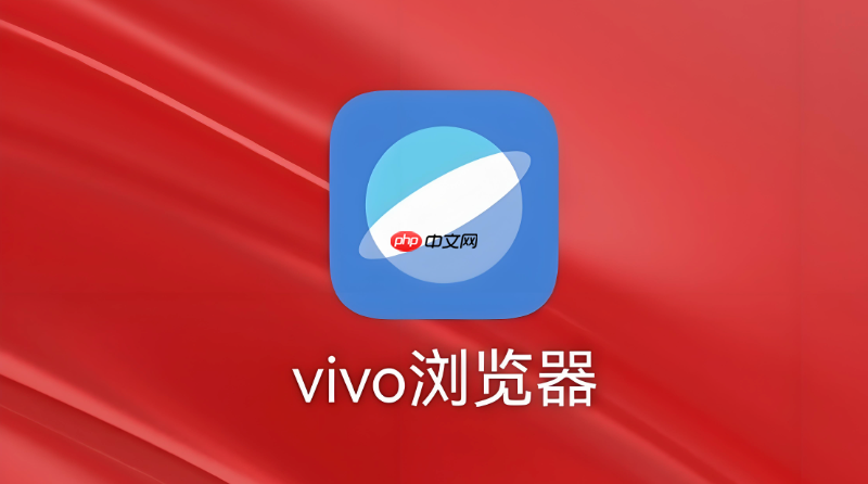 vivo浏览器下载的图片找不到怎么办_vivo浏览器图片保存路径查询技巧