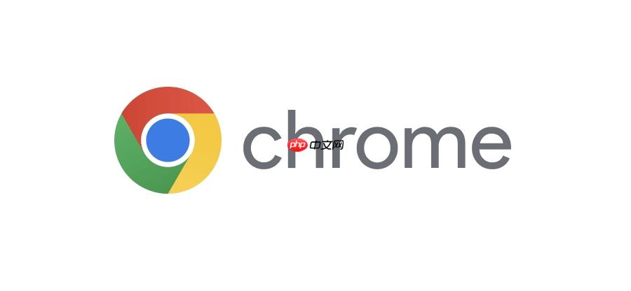谷歌浏览器官方入口网页版 Chrome浏览器在线官网  第1张