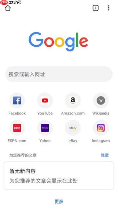 谷歌浏览器网页图片显示异常或缺失怎么办  第2张
