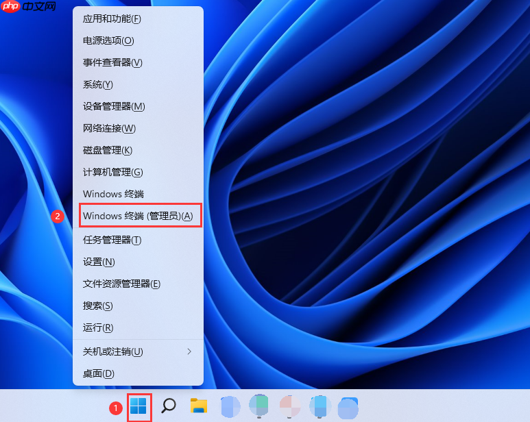 Win11家庭版如何新建管理员账户？Win11家庭版新建管理员账户方法