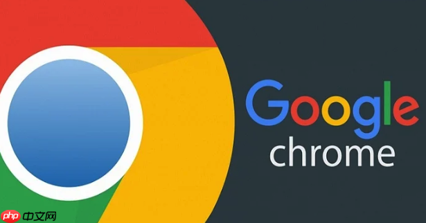 谷歌浏览器直接访问网页入口-谷歌在线登录一键便捷  第3张